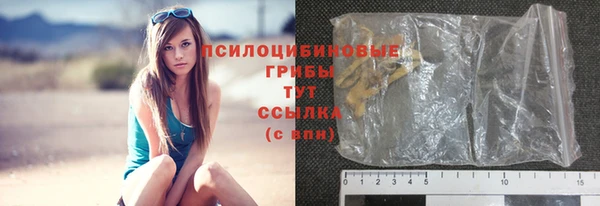 крисы Верхний Тагил