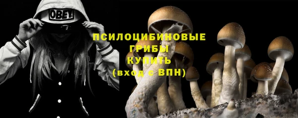 ешки Верея