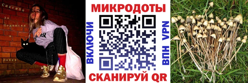 Галлюциногенные грибы Cubensis  сайты даркнета клад  Малаховка  наркота 